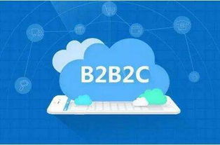 B2B2C平台开发